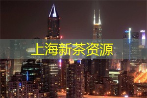 亮眼时刻：在上海的节庆活动