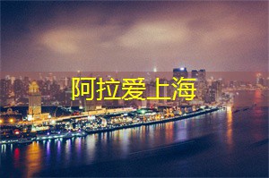梦幻夜晚：启发灵感的文化活动